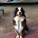 Jacob Cantin - @jac_can569 - Instagram