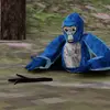 jacobicathcart359 - @jacobicathcart359 - TikTok