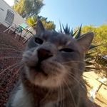 jacob_chaplin - @jacob_chaplin401 - Instagram