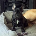 Jacob Cheesman - Facebook