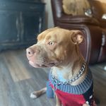 Jacob chestnutt - @jacob_chestnutt1 - Instagram
