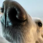 jacob christman - @eyecey.memes - Instagram