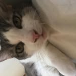 Jacob Christman - @christman745 - Instagram