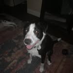 Jacob Church - @greengoo32 - Instagram