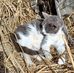 Jacob Coble - Facebook