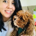Jessica Grembecki - @toycavoodle_coco_jacob - Instagram