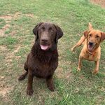 Jacob Coe - @jacob_coe1229 - Instagram