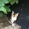 jacobcoffee - @jacobcoffee12 - TikTok