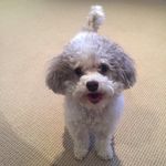 Jacob William James Colburn - @jakersdebooboo - Instagram