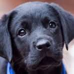 Jake Comstock - Facebook