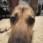 Jacob Conboy - Facebook