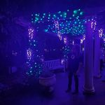 Finn - @jacobconnaway - Instagram