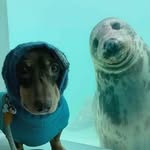 Jacob Cooley - @cooleycooler - Instagram