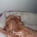 Jacob Cooley - Facebook