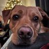 Jacob Cording - @jacob.cording0 - TikTok
