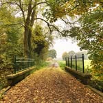 Jacob.E.Cordingley - @jacob_cordingley - Instagram