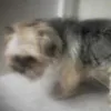jacob_corns - @jacob_corns - TikTok
