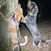 Jake Crabb - Facebook