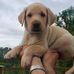 Jake Crabb - Facebook