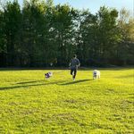 Jacob Craven - @jacob.craven145 - Instagram