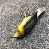 Jacob Craven - @jacobcraven4 - TikTok