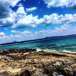 Jacob Gordon - @jacob_cricket1 - Instagram