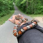 Jacob Crider - @ky_naturalist - Instagram