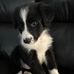 Jacob Cripps - Facebook