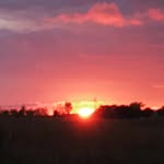Jacob Cronk - @jacobcronk1 - Instagram
