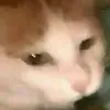 Jacob - @jacob.crossley - TikTok