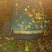Jacob Custer - Facebook