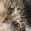 JJ E615 - @curl.jacob - TikTok