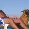 Jacob Dahan - @jacob.dahan8 - TikTok