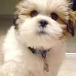 Jacob Dame un Hijo - @jacob_dame_un_hijo - Instagram