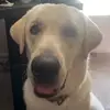Jacob Daniel - @jacobd.aniel - TikTok