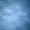 Jacob Darwin - @jacksonville778 - TikTok
