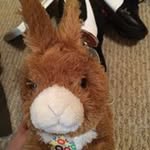 Jacob Dearborn - @jacob.dearborn - Instagram