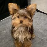Jacob Deaton - @jacob_deaton412 - Instagram
