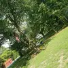 Jacob Deaton - @bigmac4363 - TikTok