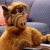 jacobdeaton926 - @jdeaton1984 - TikTok