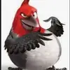 cookie - @jacobdemarcos - TikTok