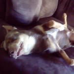 Beau-jacob Cicala-denyer - @cicaladenyer - Instagram