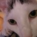 Jacob DeVault - Facebook