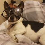 Jacob Dibble - @jacobdibble43 - Instagram