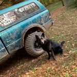 Jacob Dibble - @thebrapplife_125 - Instagram