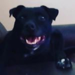 jake - @jacobdibble2069 - Instagram