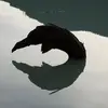 Jacob Donaldson - @jacobdonaldson123 - TikTok