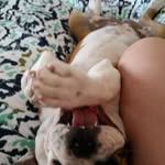 Jacob Doss - @dossjacob - Instagram