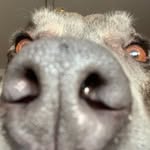 Jacob doughty - @jacobdoughty11 - Instagram