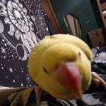 Jacob Doughty - @jacob.doughty.940 - Instagram